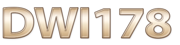 DWI178  Logo
